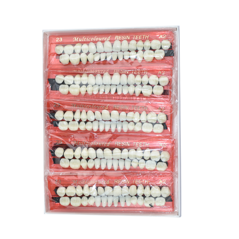 28 Teeth Dental Resin Denture  - Teeth Whitening Flash avaliação e preço