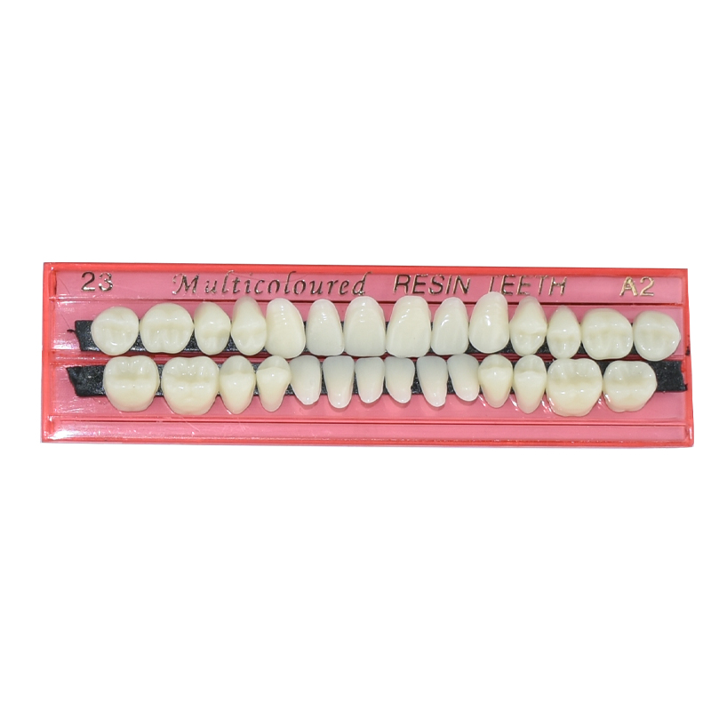 28 Teeth Dental Resin Denture  - Teeth Whitening Flash avaliação e preço