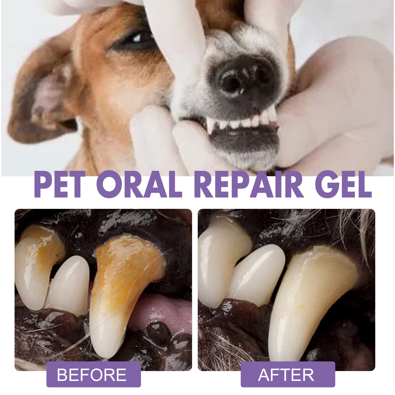 Pet Oral Repair Gel Puppy Tart - Teeth Whitening Singapore avaliação e preço