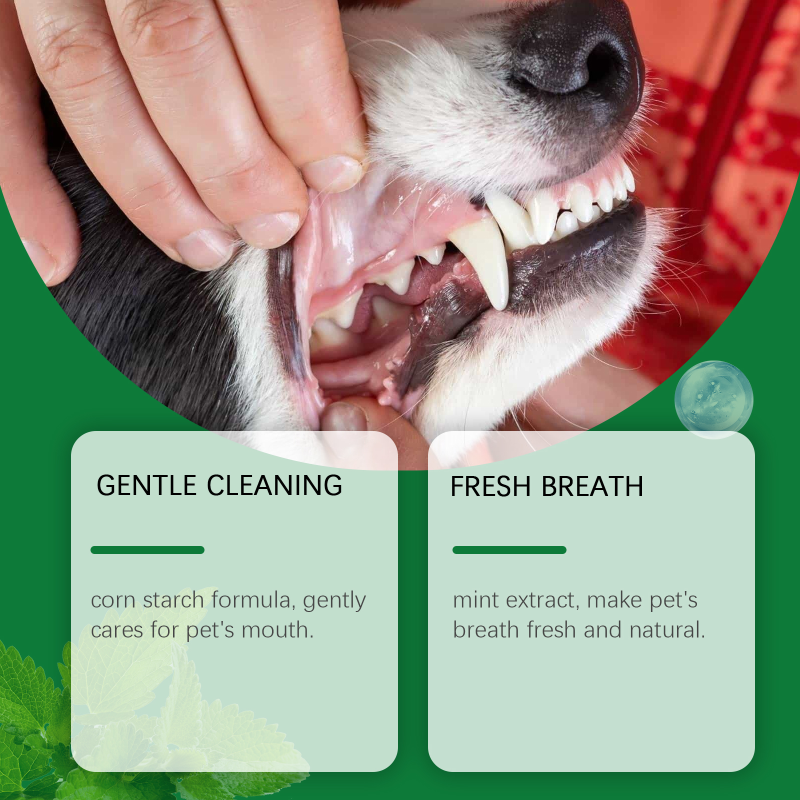 Pet Teeth Cleaning Powder Redu - Teeth Whitening Singapore avaliação e preço