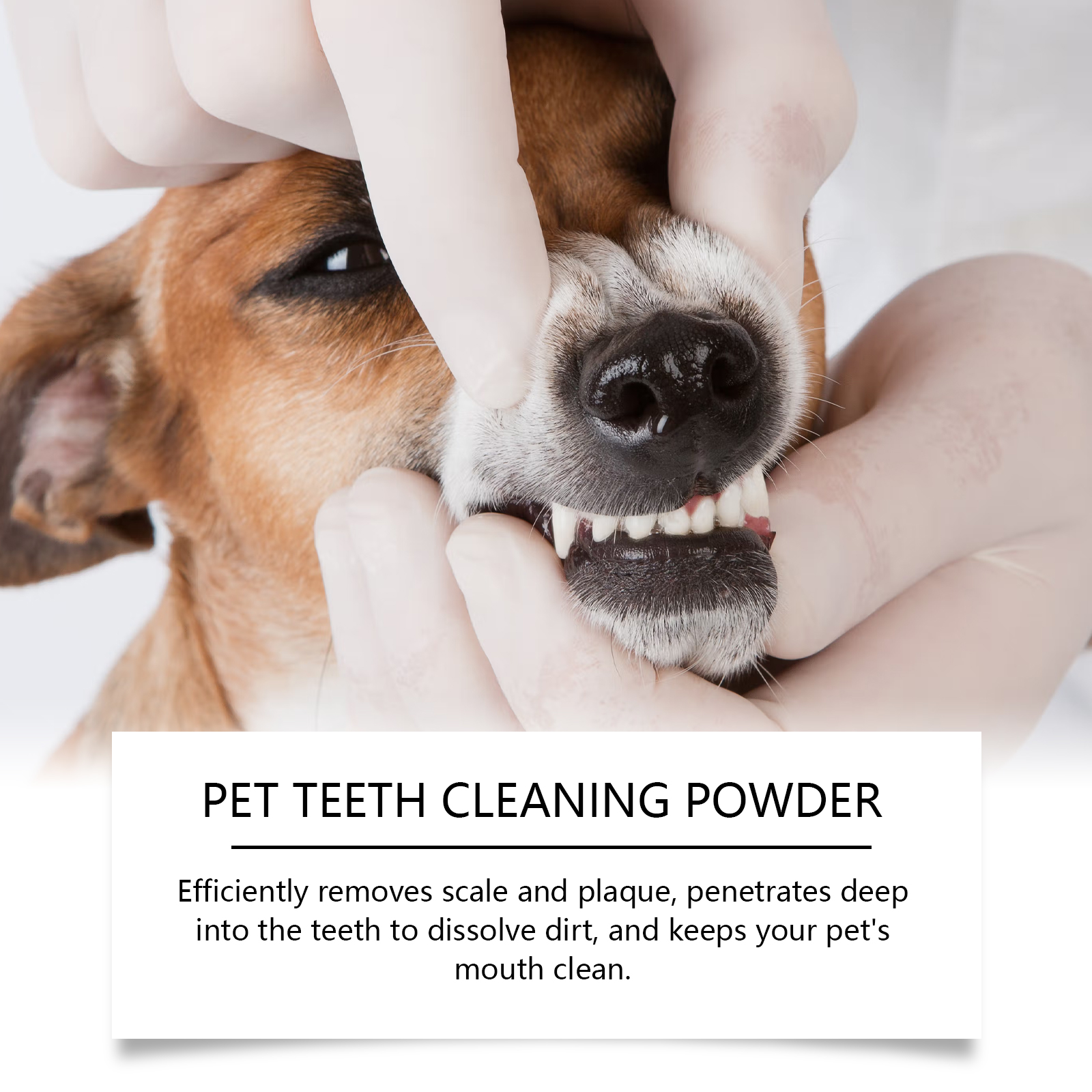 Pet Teeth Cleaning Powder Redu - Teeth Whitening Singapore avaliação e preço