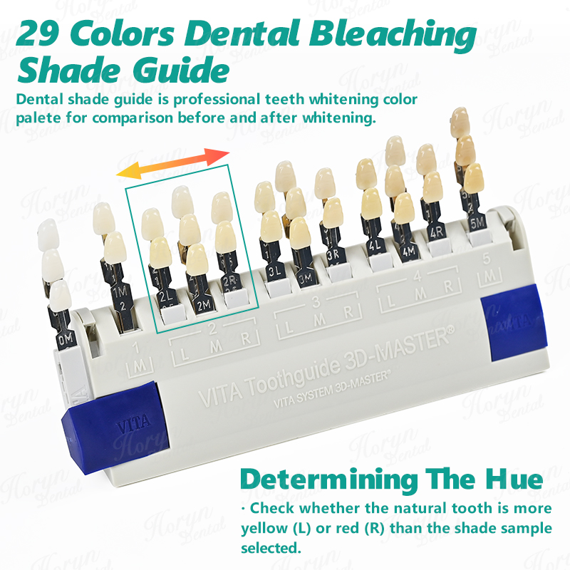 Vita 3D Master Dental Lab Blea - Teeth Whitening With Trays avaliação e preço