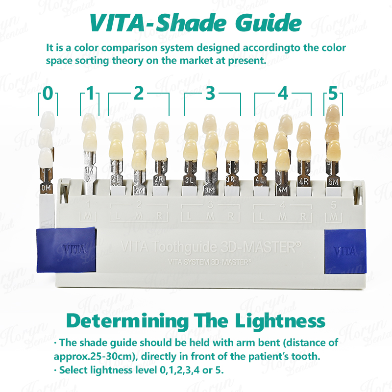 Vita 3D Master Dental Lab Blea - Teeth Whitening With Trays avaliação e preço